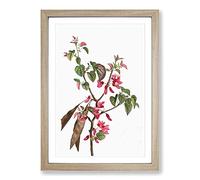 Pink Judas Tree Flowers by Pierre-Joseph Redoute Framed Print | A2 Oak Framed Wall Art | Ready to Hang | Modern Floral Picture | Living Room Bedroom Lounge Office