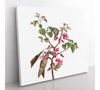 Pink Judas Tree Flowers by Pierre Joseph Redoute Vintage Canvas Wall Art Print Ready to Hang, Framed Picture for Living Room Bedroom Home Office Décor, 50x50 cm (20x20 Inch)