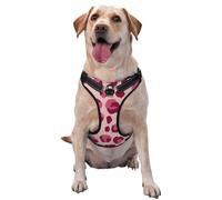 Pink Leopard Print No Pull Dog Harness Adjustable Reflective Oxford Easy Control Medium Large Dog Harness