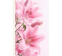 Pink Lily Reflections: A Graceful Notebook for Everyday Writing, Dreams, Gentle Moments, Creative Ideas, and Personal Inspiration | 192 Unlined Pages