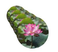 Pink Lotu Flowers Car Air Fresheners Cards 4 Pcs Hanging Fragrance Scented Cards Long-Lasting Car Aromatherapy Tablets for Wardrobe Bathroom Car Interior Mirror Pendant Gifts