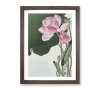 Pink Lotus Flower By Ohara Koson Asian Japanese Framed Print | A3 Walnut Framed Wall Art | Ready to Hang | Asian Floral Picture | Living Room Bedroom Lounge Office