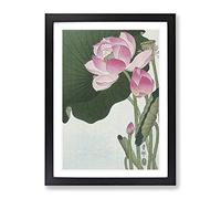 Pink Lotus Flower By Ohara Koson Asian Japanese Framed Print | A4 Black Framed Wall Art | Ready to Hang | Asian Floral Picture | Living Room Bedroom Lounge Office