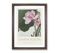Pink Lotus Flower By Ohara Koson Exhibition Museum Asian Japanese Framed Print | A3 Walnut Framed Wall Art | Ready to Hang | Asian Floral Picture | Living Room Bedroom Lounge Office
