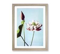 Pink Lotus Flowers By Ogawa Kazumasa Asian Japanese Framed Print | A3 Oak Framed Wall Art | Ready to Hang | Asian Floral Picture | Living Room Bedroom Lounge Office