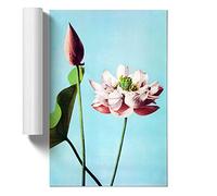 Pink Lotus Flowers by Ogawa Kazumasa Design | Unframed Wall Art Print | Ready to Frame Poster | Modern Home Decor Picture | Artwork for Living Room, Bedroom or Office | A4 (21x29.7 cm)