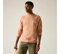 Regatta Men's Nithsdale Printed Crew Neck Sweatshirt in Terracotta | Size: Small Regatta Terracotta S
