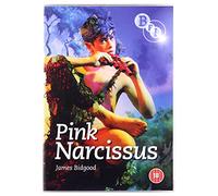 Pink Narcissus [1971] [DVD]