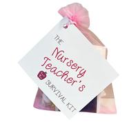 Pink Nursery Teacher Survival Kit | End of Term Teacher Gift | Novelty Survival Kit for Nursery Teachers | Thank You Teacher Gift | Unique Teacher Appreciation Keepsake | Teacher Gift Set