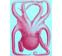 Pink Octopus Illustration Unframed Art Print Poster Wall Decor 12x16 inch