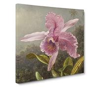 Pink Orchids by Martin Johnson heade Canvas Print | Gallery Wrapped 30mm Frame Wall Art | 14x14 inches | Ready to Hang | Classic Floral Picture | Living Room Bedroom Lounge Office