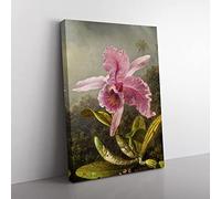 Pink Orchids By Martin Johnson Heade Classic Painting Canvas Wall Art Print Ready to Hang, Framed Picture for Living Room Bedroom Home Office Décor, 50x35 cm (20x14 Inch)