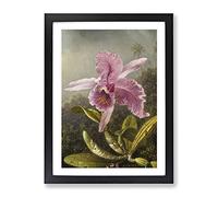 Pink Orchids By Martin Johnson Heade Classic Painting Framed Wall Art Print, Ready to Hang Picture for Living Room Bedroom Home Office Décor, Black A3 (34 x 46 cm)