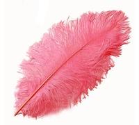 Pink Ostrich Feathers x 5 (approx 5 to 7 inches) Crafts, Sewing, Costuming, Millinery etc