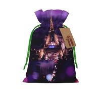 (Pink Paris) Printed Christmas M Size Gift Bags with Green Ribbon Drawstring Candy Bags for Kids Xmas Holiday Christmas Eve Presents