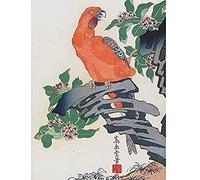 Pink Parrot Rock 1859 Nakayama Sugakudo Unframed Wall Art Print Poster Home Decor Premium