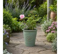Pink Patio Rose In Olive Premium Plastic Planter Green Outdoor Garden Plant