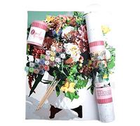 Pink Picasso Botanical Floral Paint by Number Kit for Adults | DIY Canvas Painting Kits Color by Numbers Drawing Arts and Crafts As Seen On Shark Tank | 16x20 - Paint Kit Set