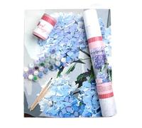 Pink Picasso Kits Botanical Floral Paint by Number for Adults | DIY Canvas Painting Kits Color by Numbers Drawing Arts and Crafts As Seen On Shark Tank | (Happily Hydrangea) 16x20 - Paint Kit Set