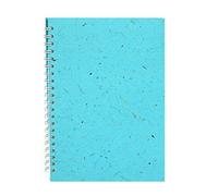Pink Pig A4 Posh Lined Banana Notebook - Sky