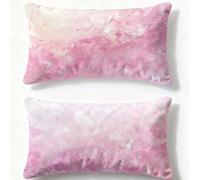Pink Pillows 2 pack Simplicity Cushion Covers 28x36in Velvet Cushion Covers With Lnvisible Zip Rectangle Pillowcase for Autumn Home Living Room Sofa Bedroom Office Decorative Pillows for Bed Q-422U