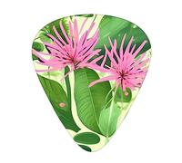 Pink Plant Flowersguitar Plectrum 12 Piece Set, 3 Thicknesses With Case For Bass Guitar, &Electric Guitar And More.