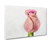 Pink Rose Beginning To Bloom Canvas Print | Gallery Wrapped 30mm Frame Wall Art | 30x20 inches | Ready to Hang | Modern Floral Picture | Living Room Bedroom Lounge Office