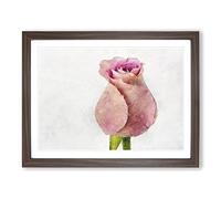 Pink Rose Beginning To Bloom Painting Modern Art Framed Print | A2 Walnut Framed Wall Art | Ready to Hang | Modern Floral Picture | Living Room Bedroom Lounge Office