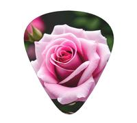 Pink Rose Blossom Print Organizer Storage Box Different Thickness Guitar Picks For Acoustic Guitar