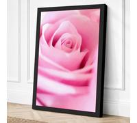 Pink Rose Detail Botanical Canvas Wall Art Print 36x24 Inch