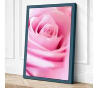 Pink Rose Detail Botanical Canvas Wall Art Print 36x24 Inch