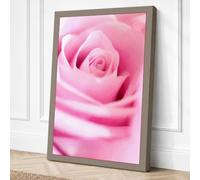 Pink Rose Detail Botanical Canvas Wall Art Print 36x24 Inch