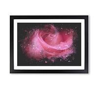 Pink Rose Flower Vol.8 Paint Splash Framed Print | A2 Black Framed Wall Art | Ready to Hang | Modern Floral Picture | Living Room Bedroom Lounge Office