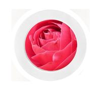 Pink Rose - Fun - Flowers - Car Tax Disc Holder - Reuseable