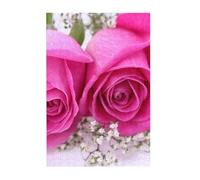 pink rose Prints Wooden Jigsaw Puzzle 300-Piece in Plastic Box, 26x38 CM Eco-Friendly Educational Puzzle for Family Fun & Adult Relaxation