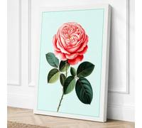 Pink Rose Study Botanical Canvas Wall Art Print 36x24 Inch