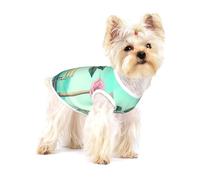 Pink roses by the bench Premium Dog Tshirt - Soft 100% Cotton Ropa Para Perros, Perfect for Small to Medium Dogs, Stylish and Comfortable Shirts for Dogs L