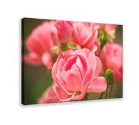 Pink Roses, Garden, Blur, Close-up Mood Healing Canvas Modern Poster Wall Art Prints Paintings Living Room Bedroom Decor 12x18inch(30x45cm)