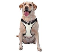 Pink Roses Oval Frame Vintage,Pet Harness,Adjustable Reflective Dog Harness,Pet Leash Vest,M