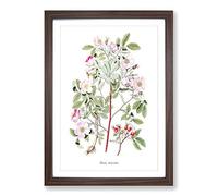Pink Smooth Rose Flower Illustration Framed Print | A2 Walnut Framed Wall Art | Ready to Hang | Modern Floral Picture | Living Room Bedroom Lounge Office