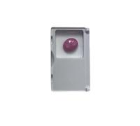 Pink Star Ruby, Cabochon Cut 10x12mm, NATURAL from Vietnam by SUNNAT MEDINA