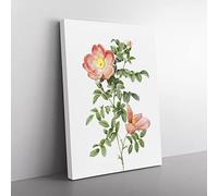 Pink Sweet Briar Rose By Pierre Joseph Redoute Vintage Canvas Wall Art Print Ready to Hang, Framed Picture for Living Room Bedroom Home Office Décor, 76x50 cm (30x20 Inch)