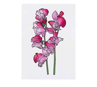 'Pink Sweetpea Flowers' Temporary Tattoo - Water Resistant, Skin-Safe, Non-Toxic Transfer (TO00059125)