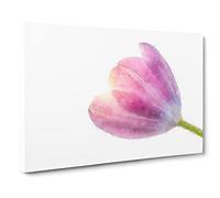 Pink Tulip Reaching For The Sun Canvas Print | Gallery Wrapped 30mm Frame Wall Art | 20x14 inches | Ready to Hang | Modern Floral Picture | Living Room Bedroom Lounge Office