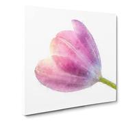Pink Tulip Reaching for the Sun Canvas Print | Gallery Wrapped 30mm Frame Wall Art | 20x20 inches | Ready to Hang | Modern Floral Picture | Living Room Bedroom Lounge Office