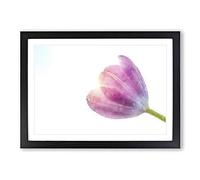 Pink Tulip Reaching for The Sun Painting Framed Print | A2 Black Framed Wall Art | Ready to Hang | Modern Floral Picture | Living Room Bedroom Lounge Office
