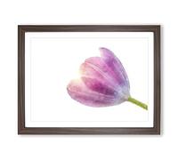 Pink Tulip Reaching For The Sun Painting Modern Art Framed Print | A3 Walnut Framed Wall Art | Ready to Hang | Modern Floral Picture | Living Room Bedroom Lounge Office