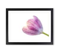 Pink Tulip Reaching For The Sun Painting Modern Art Framed Print | A4 Black Framed Wall Art | Ready to Hang | Modern Floral Picture | Living Room Bedroom Lounge Office