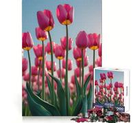 Pink Tulips Field Under Blue Sky Jigsaw Puzzle 1000 Piece for Teenagers Brain Workout Toy Serene Time Art Assembly Seasonal Gift (50x75cm)