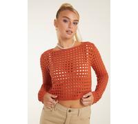Pink Vanilla Stone Long Sleeve Crochet Top In Orange Orange L